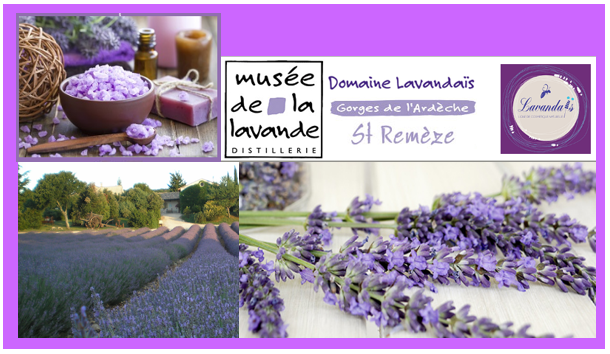 Lavendel museum